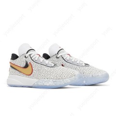 Nike Lebron 20 Gs The Debut DQ8651-100