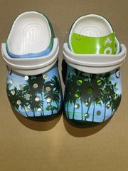 Crocs Classic Graphic Children’s Size C-6 Clog/ Slip On Roomy Fit (NEW!!!)