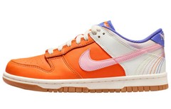 Nike Dunk Low Everything You Need – FN0600-801