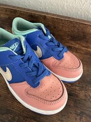 Nike Dunk Low SE Salmon Toe 9C Toddler Kids Shoes