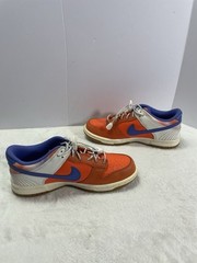 NIKE Dunk Low Everything You Need Youth Size 4Y – FN0600-801