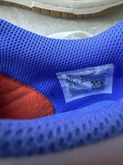 NIKE Dunk Low Everything You Need SZ Y 4.5 Or 6 Women EUC FN 0600 801