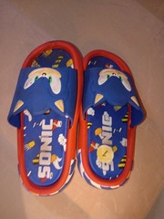 Sonic the Hedgehog Flip Flops