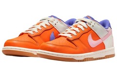 Nike Dunk Low Everything You Need – FN0600-801
