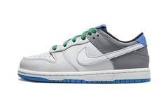 Nike Dunk Low Anti Kick Cushioning Low top Kids Skateboarding Shoes DH9756-004