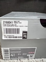 Grade school Lebron XX sz4.5